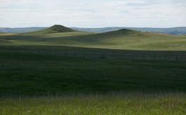 Grasslands North Dakota 1