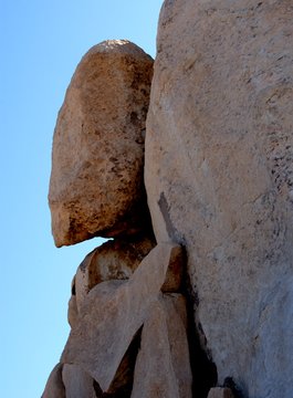 Rock 41