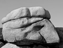 JT Rock B&W 58