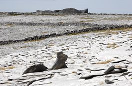 Burren Rock Landscape 4