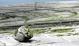 Burren Rock Landscape 2