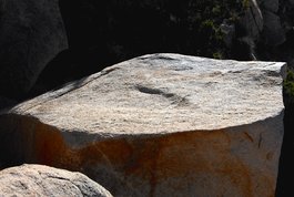 Rock 110