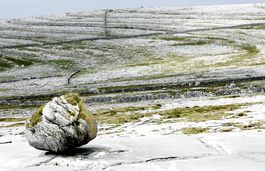 Burren Rock Landscape 2