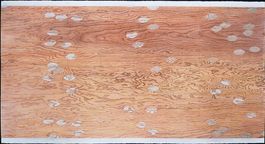 96" w x 51" h / dry pigment, graphite, colored pencil / $3,000