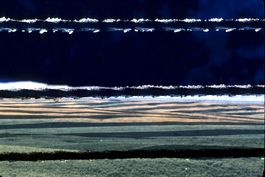 Barbed Wire and Wheat Field