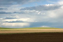 Grasslands South Dakota 2