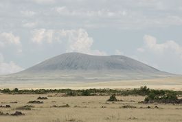 Grasslands New Mexico 2