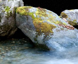 Photographs of Vermont Rocks 2009