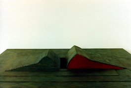 Mound-Barn