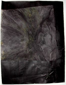 39� w x 51� h / charcoal, graphite, colored pencil, tar, wildflowers / $2,000