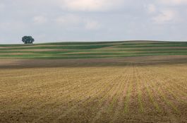 Photographs of Grasslands Landscapes 2010
