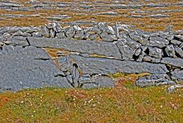 Burren Rock Landscape 7