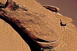 Joshua Tree Rocks