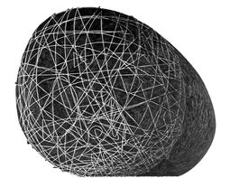 Ovoid