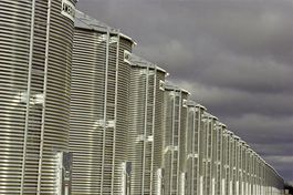 Corncribs