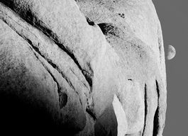 JT Rock B&W 52