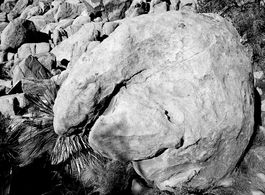 JT Rock B&W 46