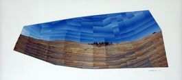 50� x 24� / $1,500