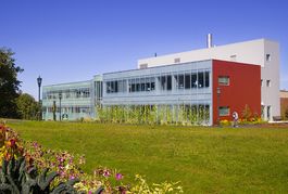 UVM Department of Nutrition and Food Sciences Mural