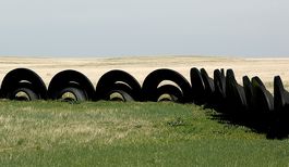 Grasslands Objects Colorado 2