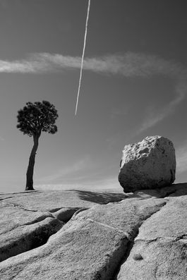 Yosemite Rock 1