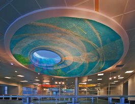 Architectural Murals, Commercial Murals and Public Art