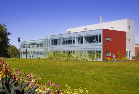 Architectural mural at University of Vermont
