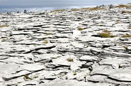 Burren Rock Landscape 12