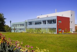 UVM Department of Nutrition and Food Sciences Mural