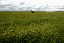 Grasslands Kansas 1