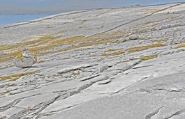 Burren Rock Landscape 3