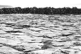 Burren Rock Landscape 5