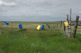 Grasslands Objects Nebraska 2