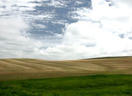 Grasslands North Dakota 6