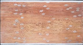 96" w x 51" h / dry pigment, graphite, colored pencil / $3,000
