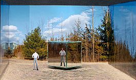 Mirror-Cube-Landscape -- Vermont