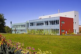 UVM Department of Nutrition and Food Sciences Mural